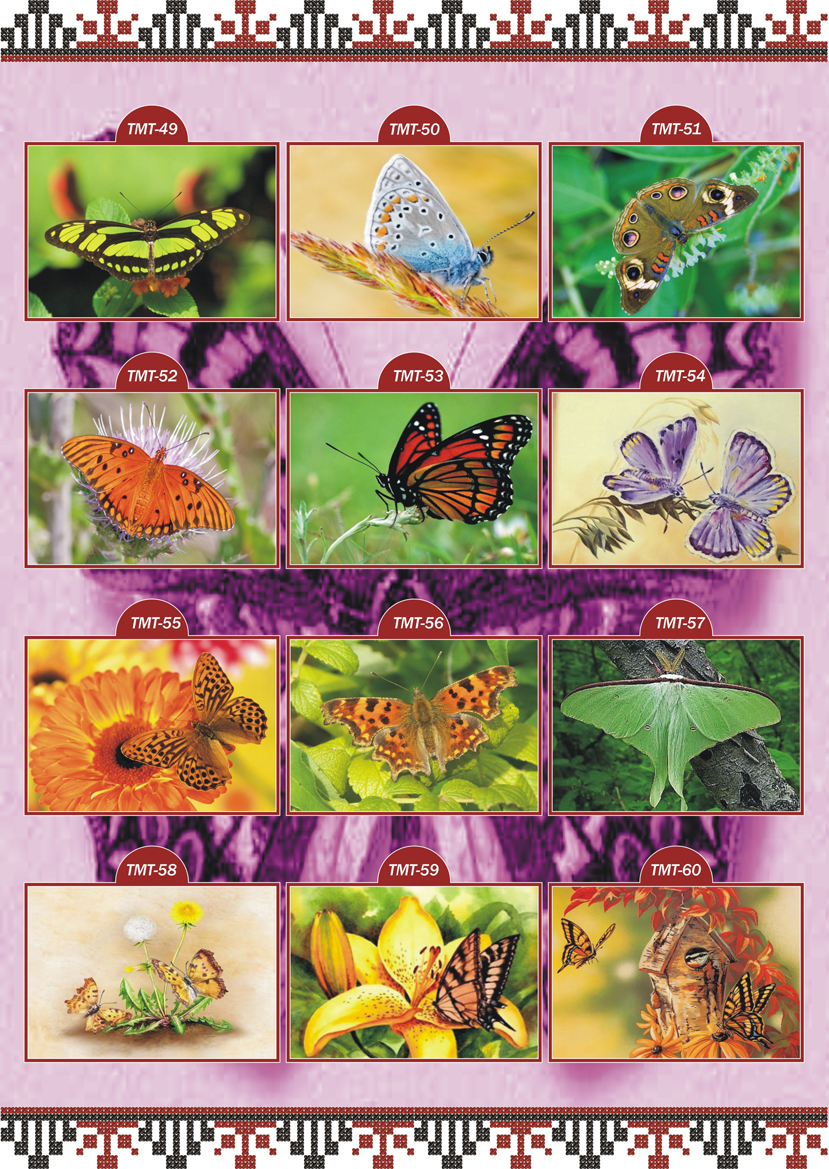 Каталог ескізів Тварини Метелики ТМТ 5